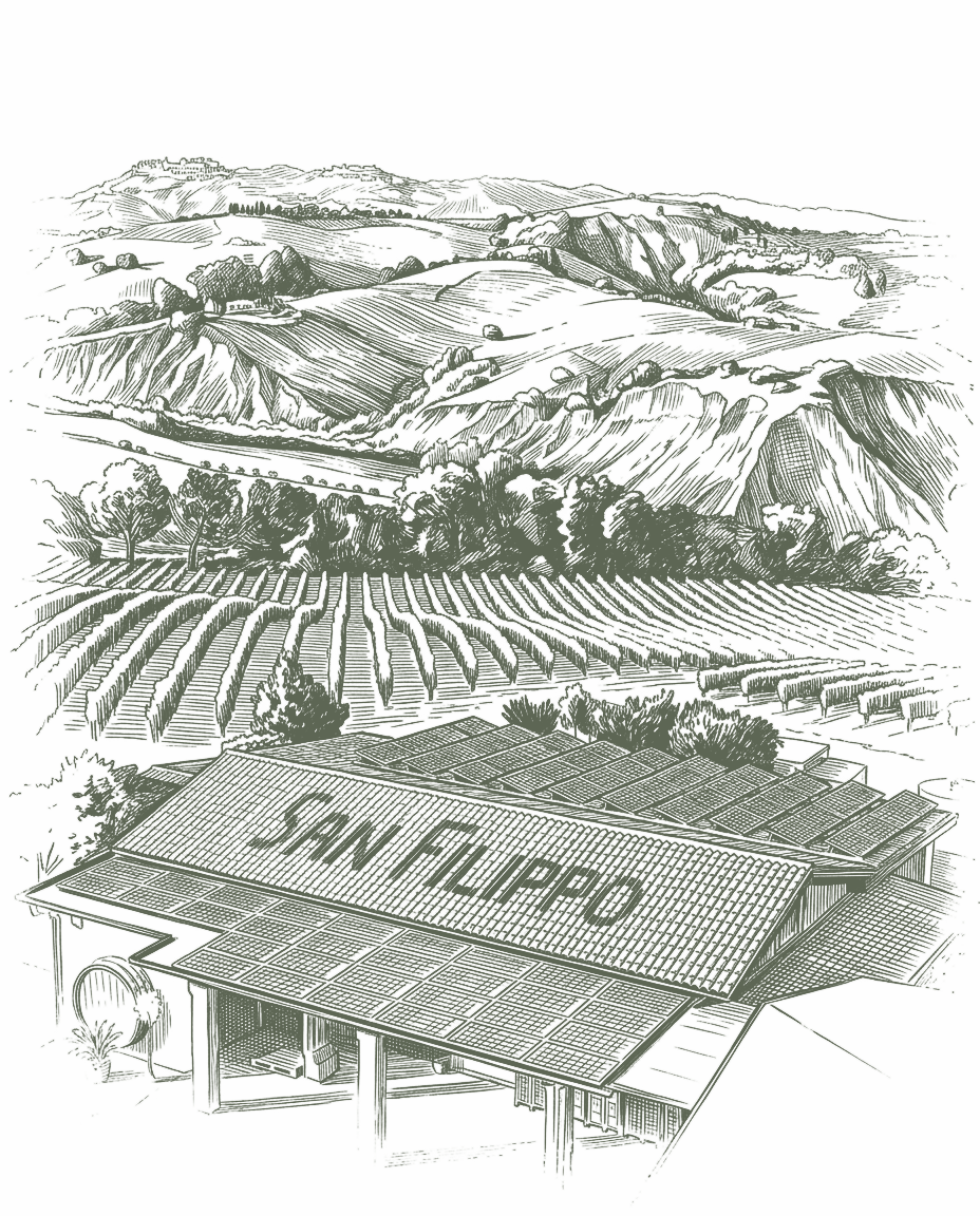 Azienda San Filippo
